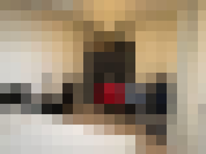  / #14