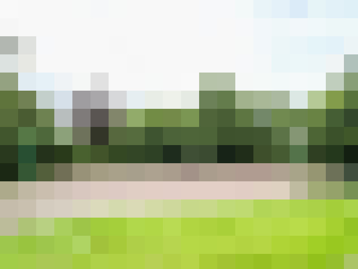 Image 24