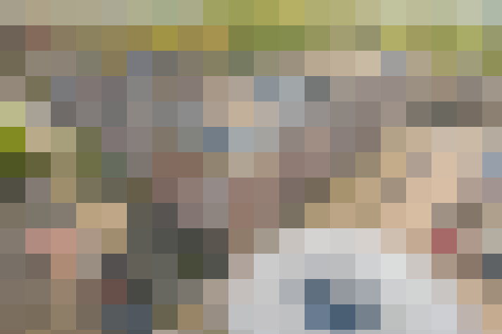 Image 29