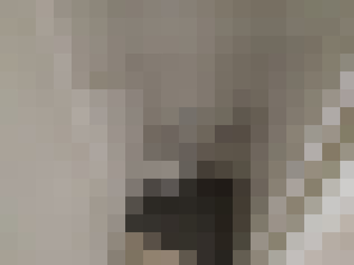 Image 13