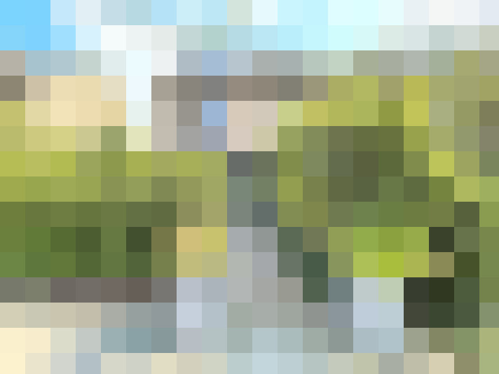Image 26