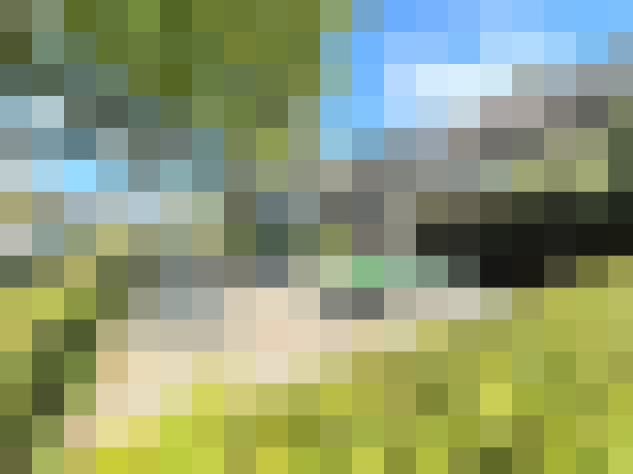 Image 28