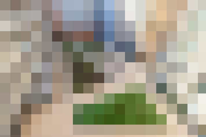Image 13