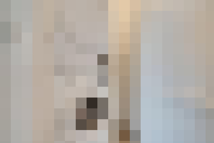  / #12