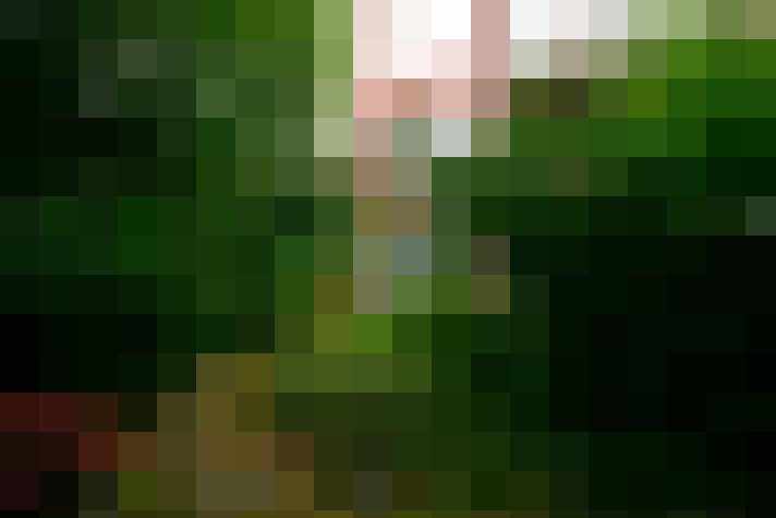 Image 40