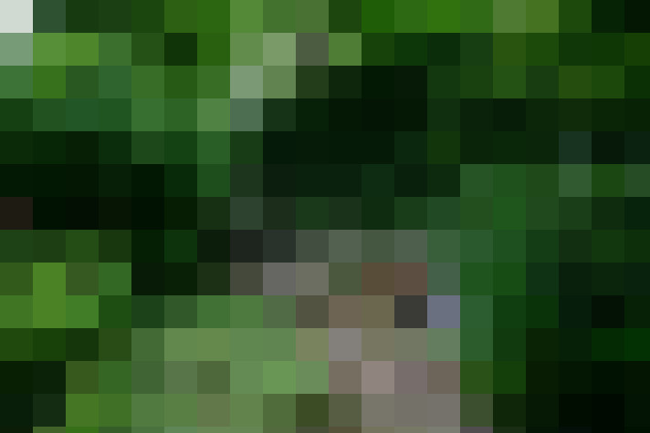 Image 38