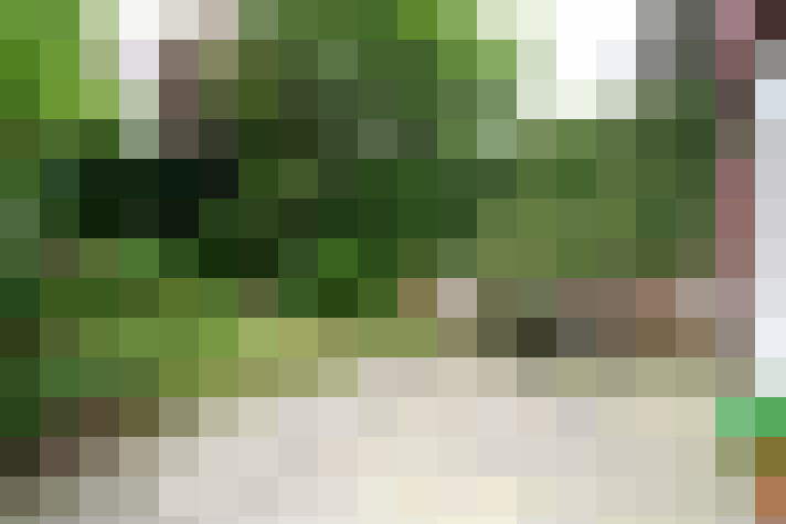 Image 36