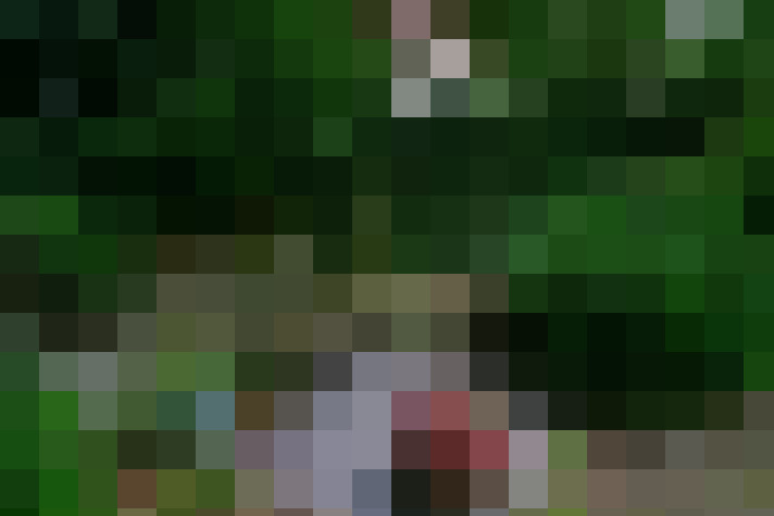 Image 39