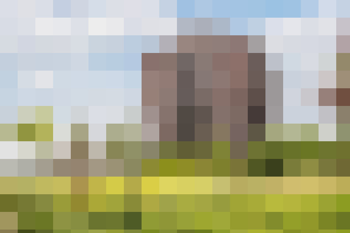 Image 33