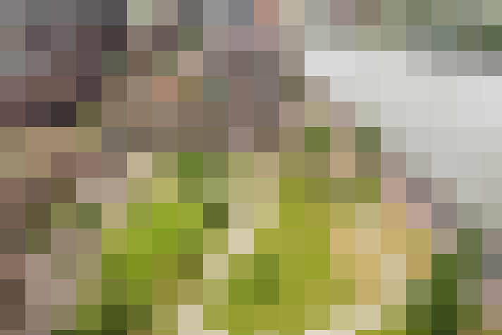 Image 35