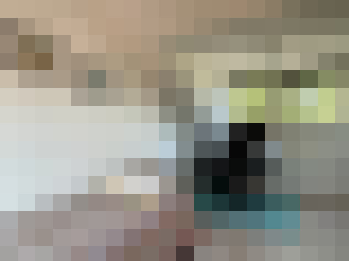 Image 22