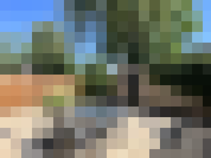 Image 25