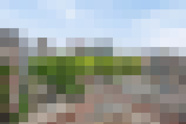 Image 28