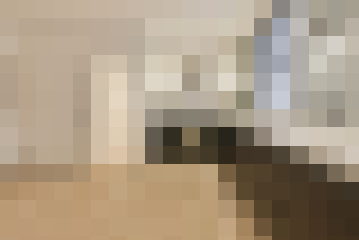  / #19