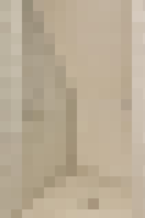  / #29