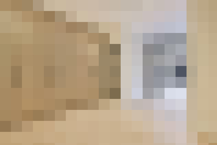  / #21