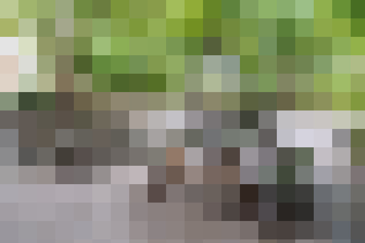 Image 42