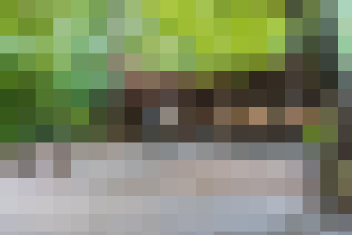 Image 41
