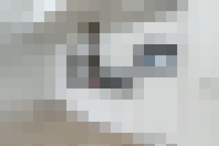  / #10