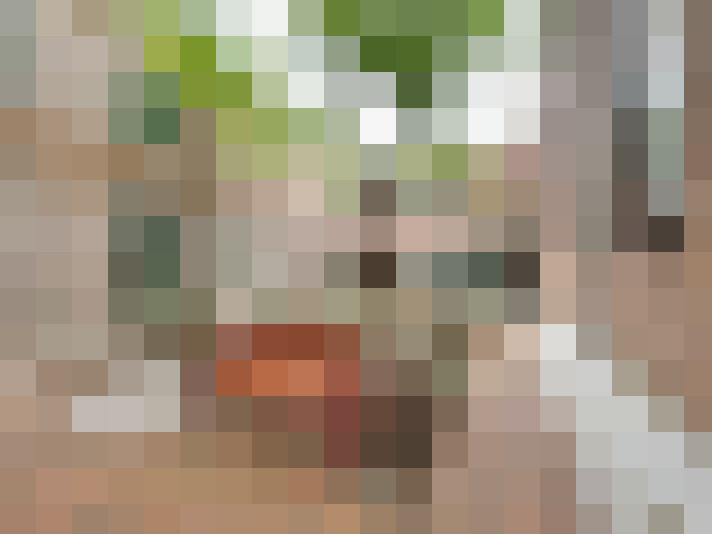 Image 20