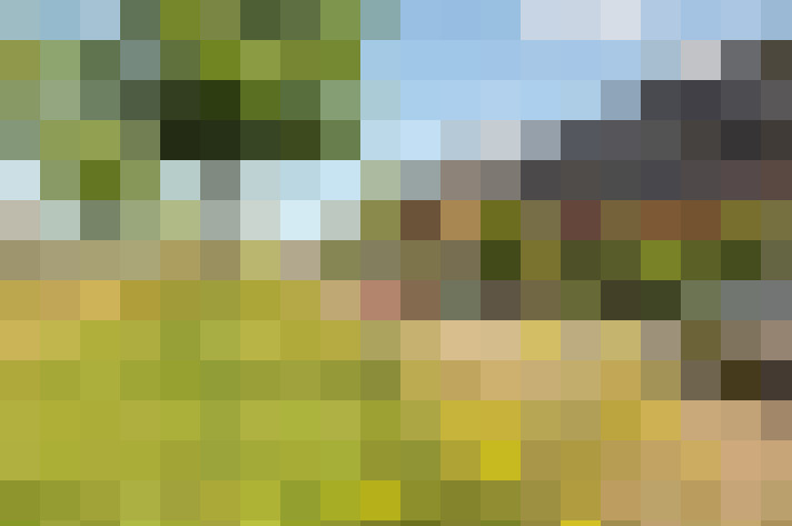 Image 22
