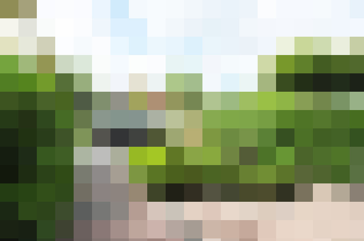 Image 21