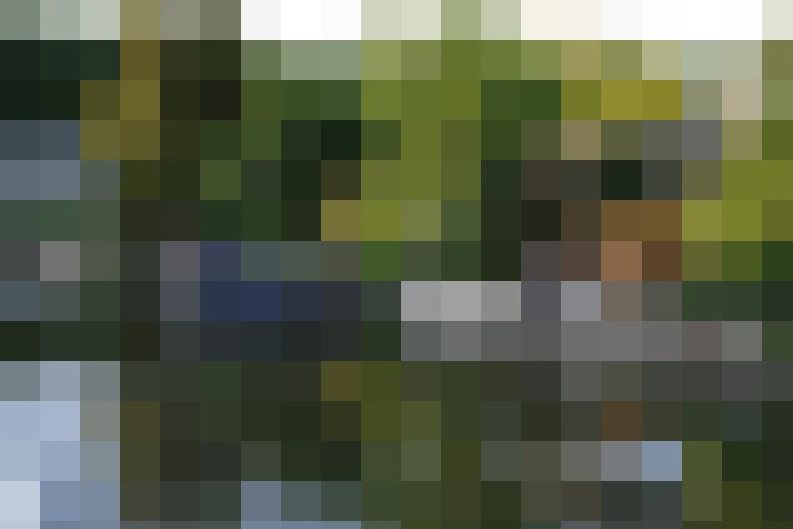 Image 20