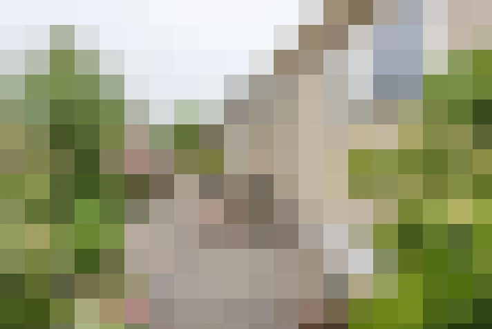 Image 22