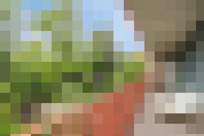  / #15