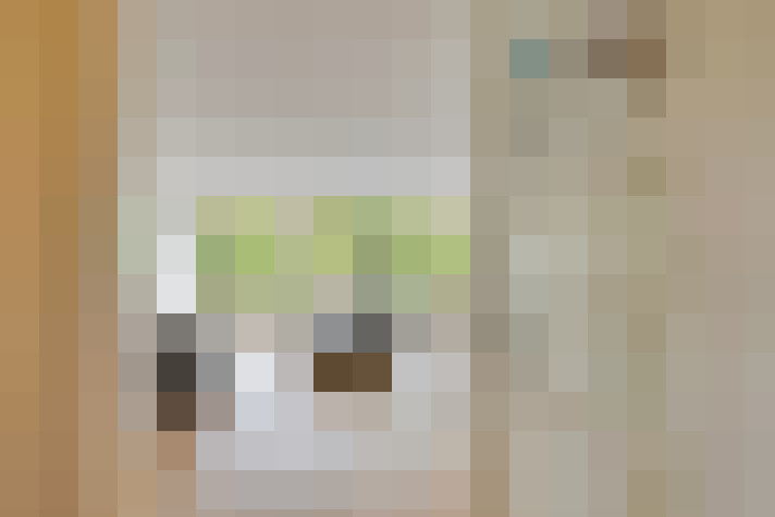  / #7