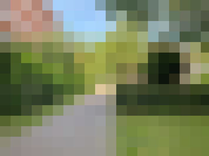  / #31