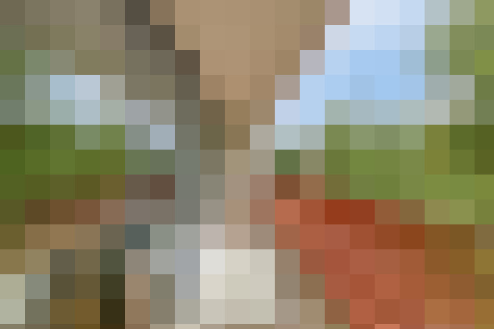  / #14
