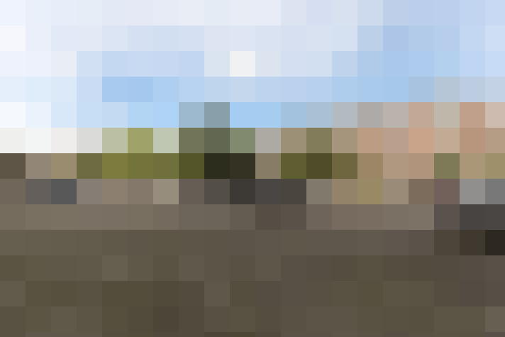 Image 15