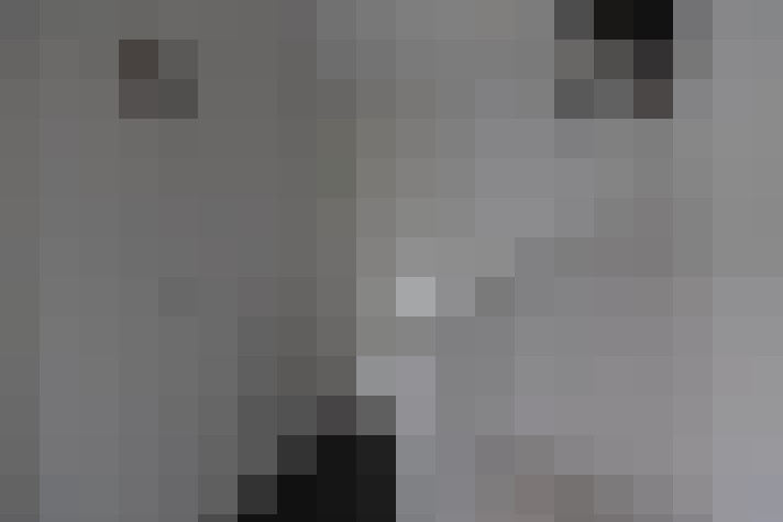  / #34