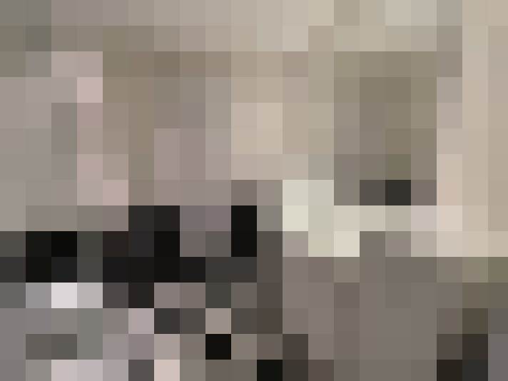  / #15