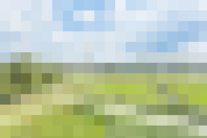 Image 27