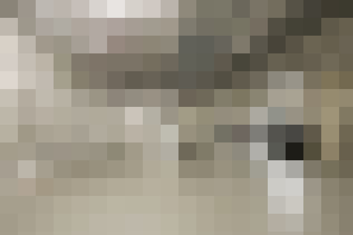  / #19