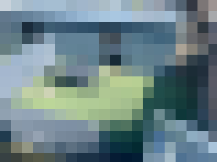Image 22