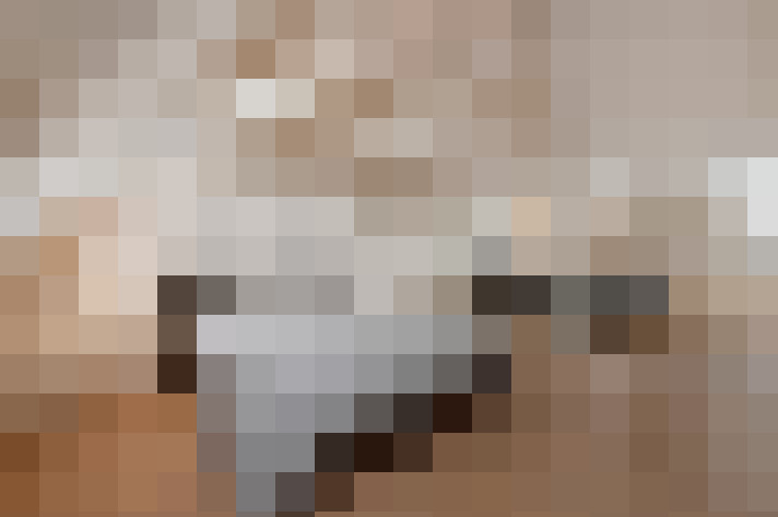 / #11