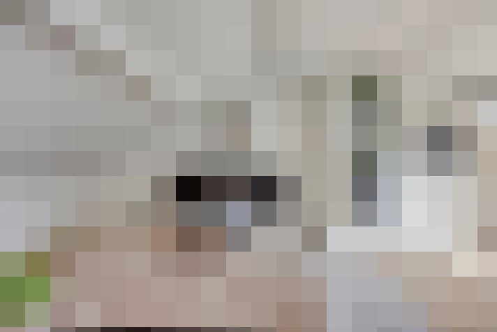 Image 22