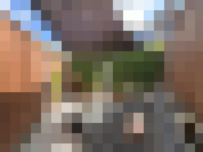 Image 17