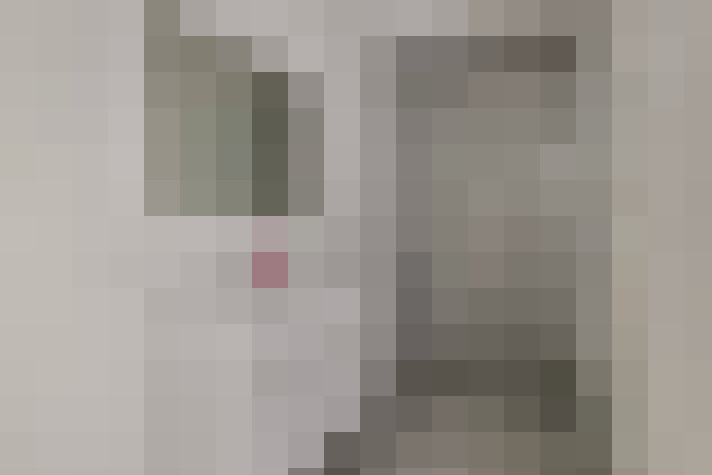  / #24