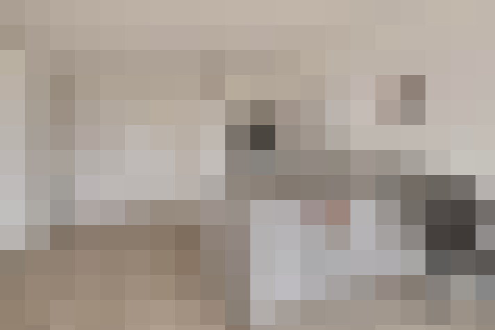  / #19