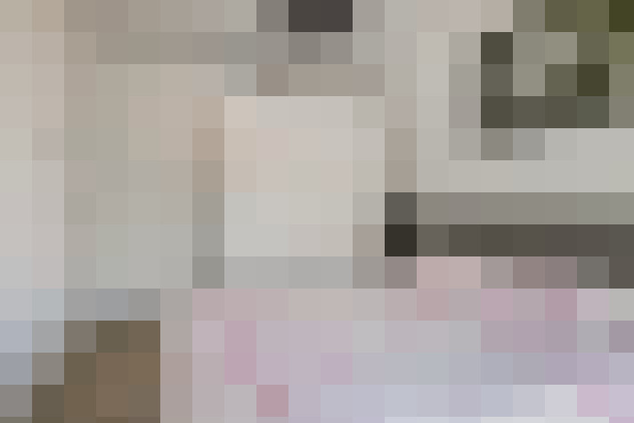  / #23