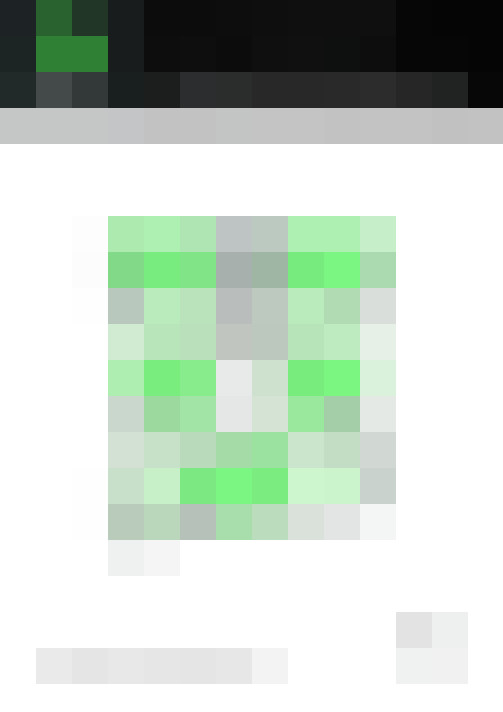 Image 20