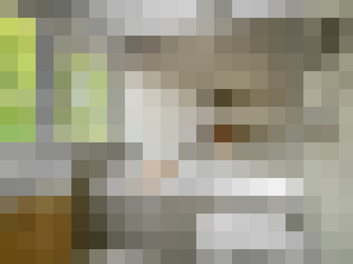 Image 22
