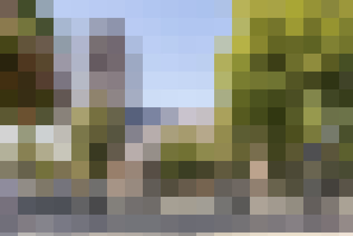 Image 31