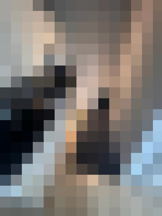 Image 30