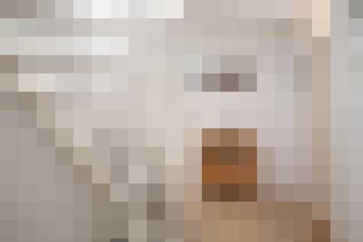  / #19
