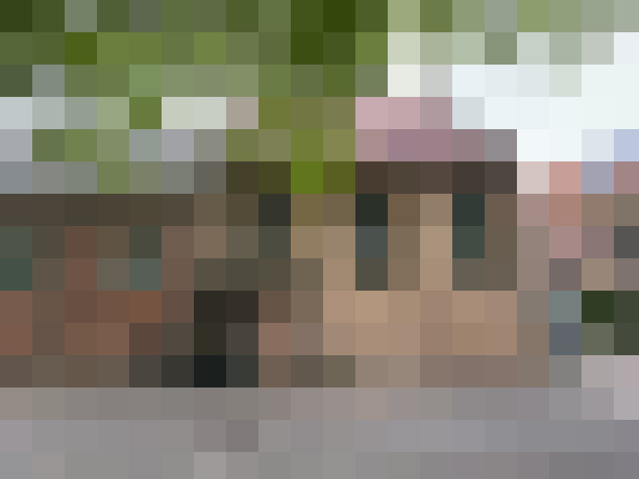  / #19